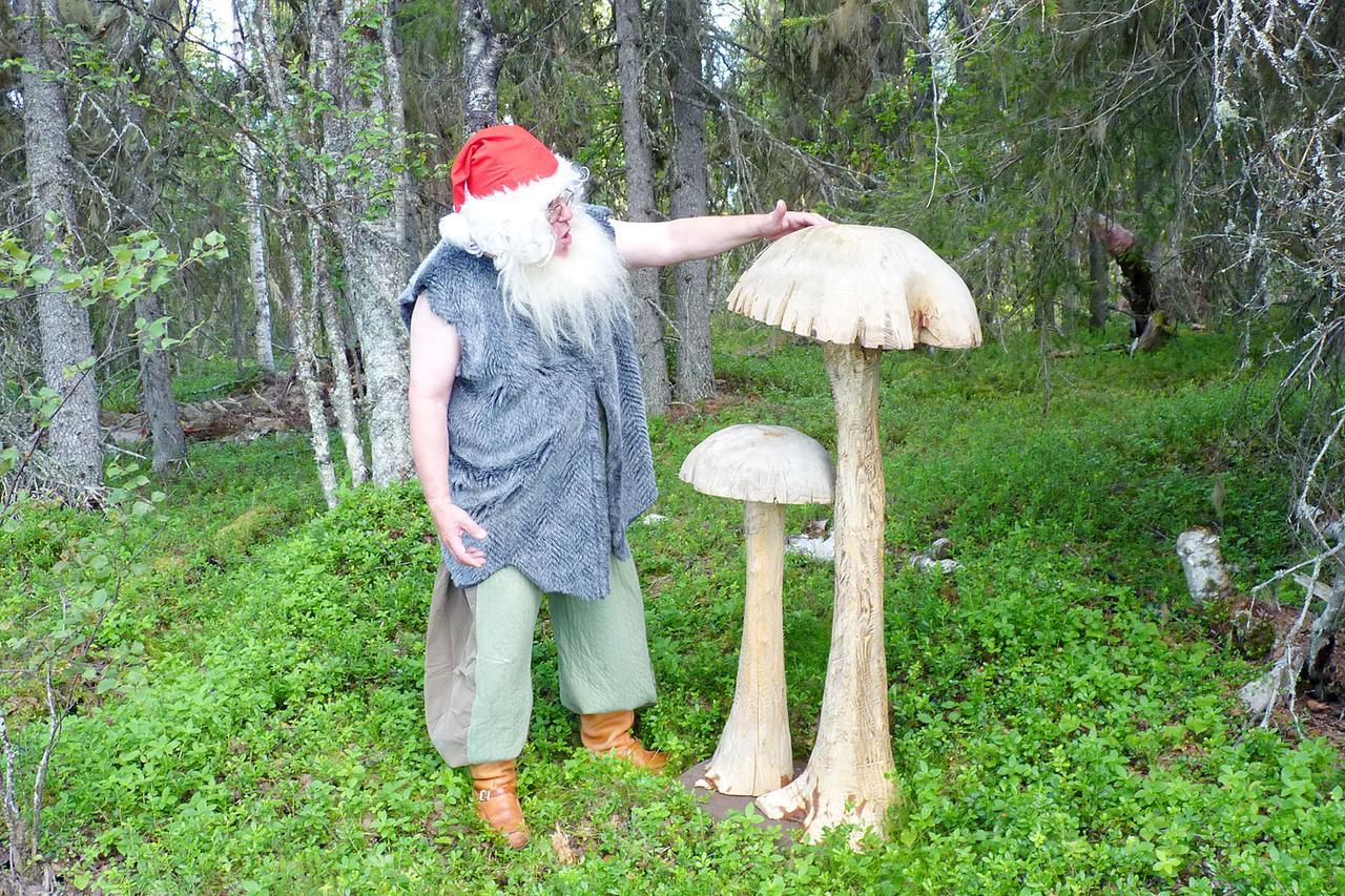 Elves Village Hotel Köngäs المظهر الخارجي الصورة