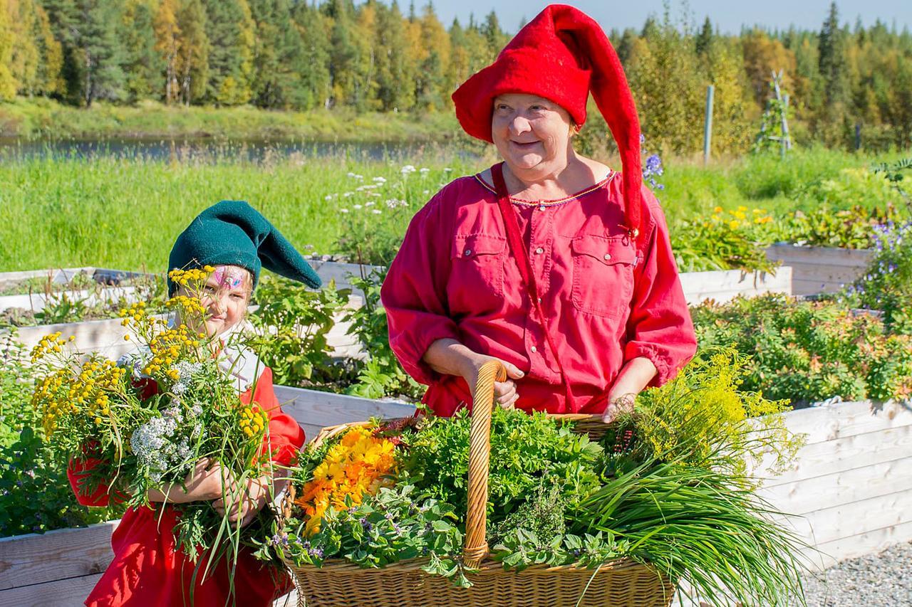 Elves Village Hotel Köngäs المظهر الخارجي الصورة